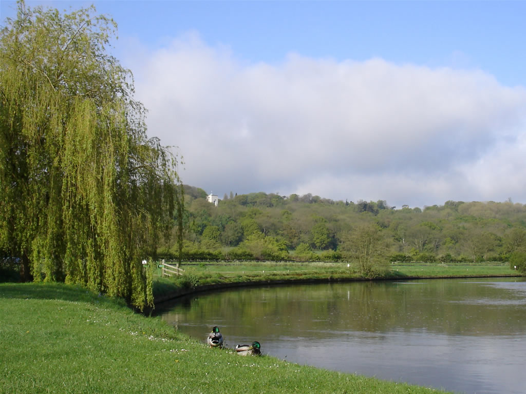 The Rivr Thames at Runnymede